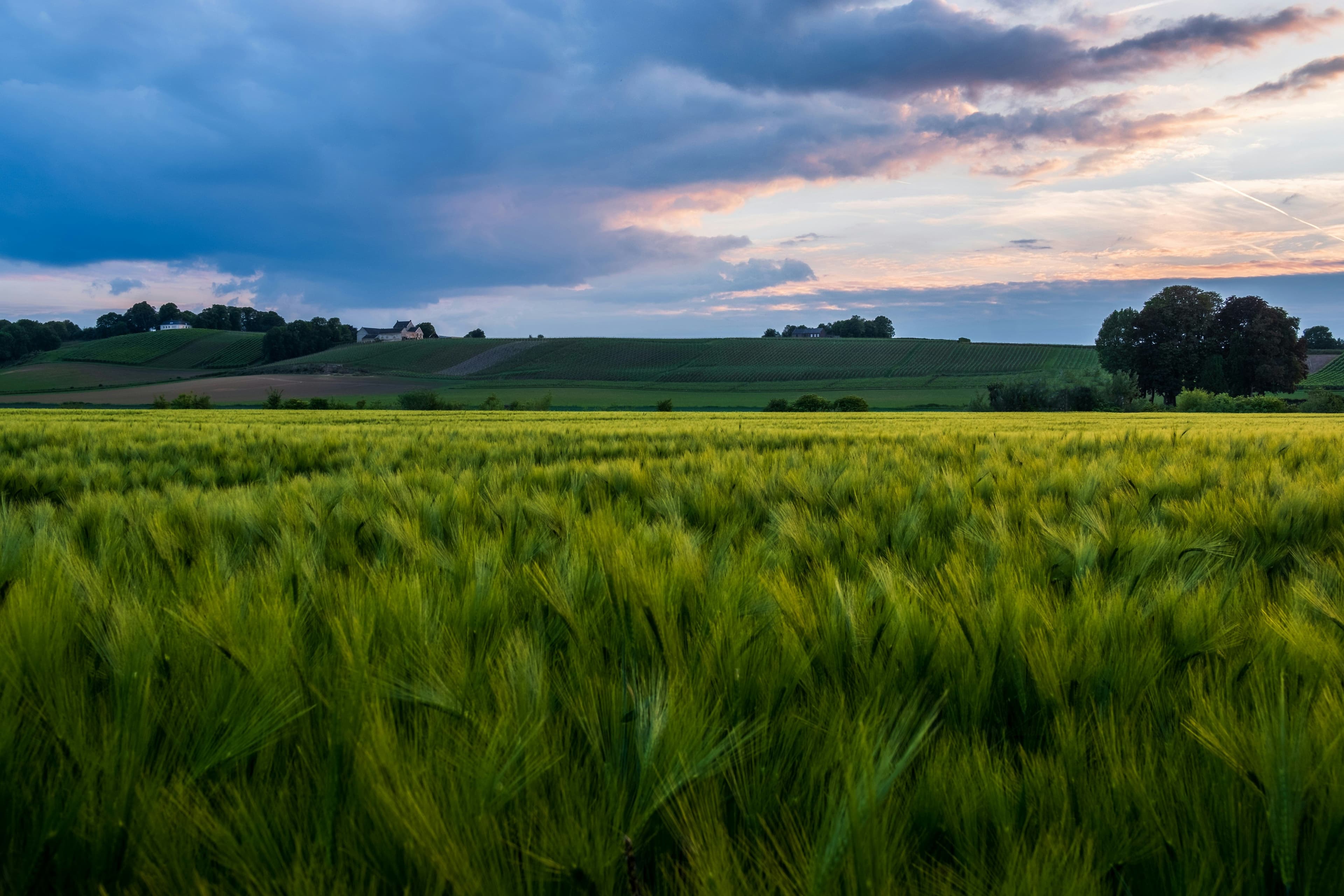 Rechten van de natuur in Maastricht