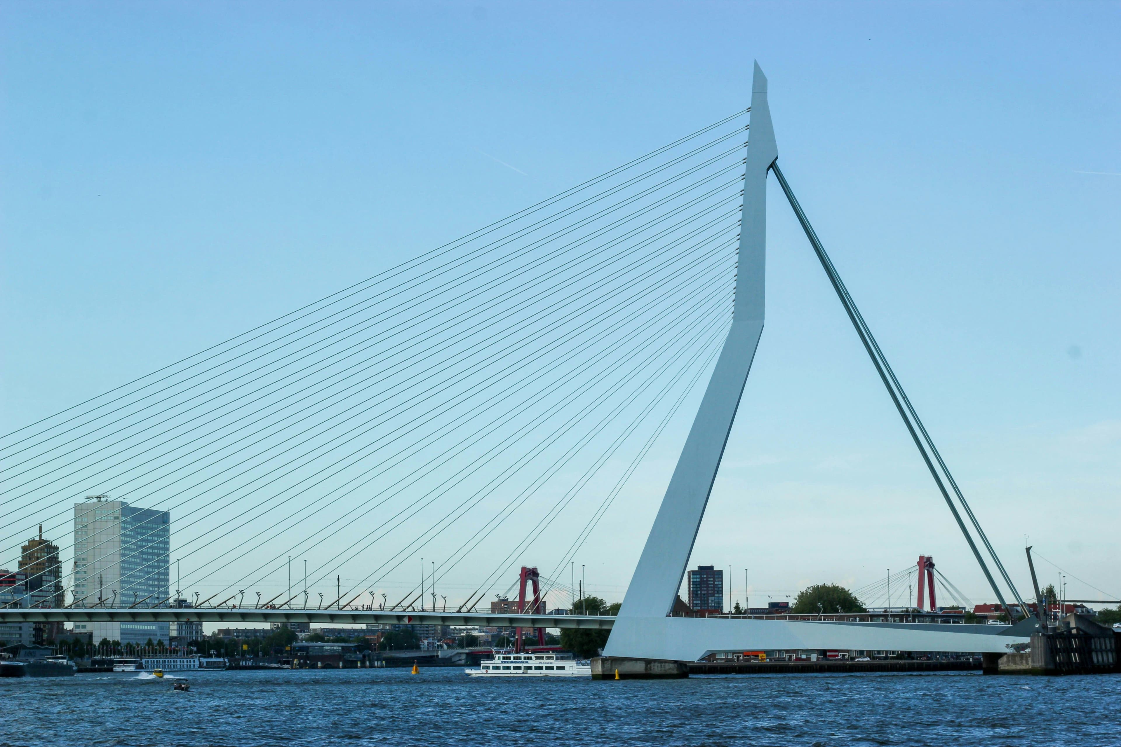 Maas Rotterdam Rechten van de Natuur