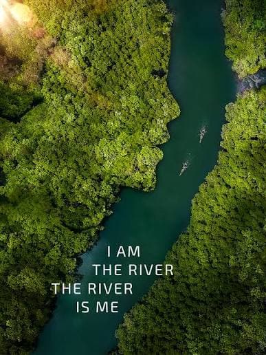 Inspiratie door film I am the River, the River is Me