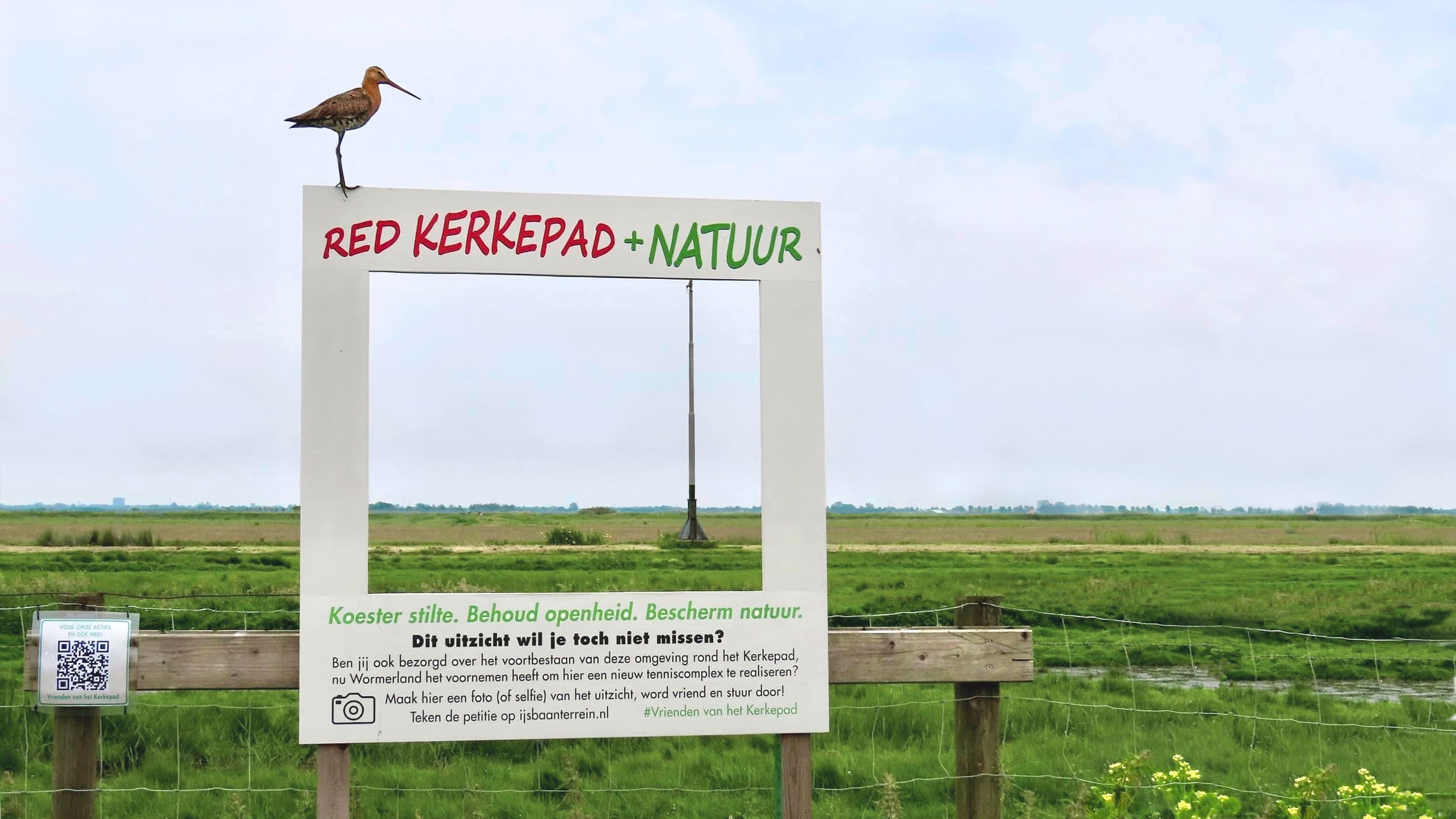 Open veenweidelandschap met graslanden, sloten en weidevogels in het Groene Hart