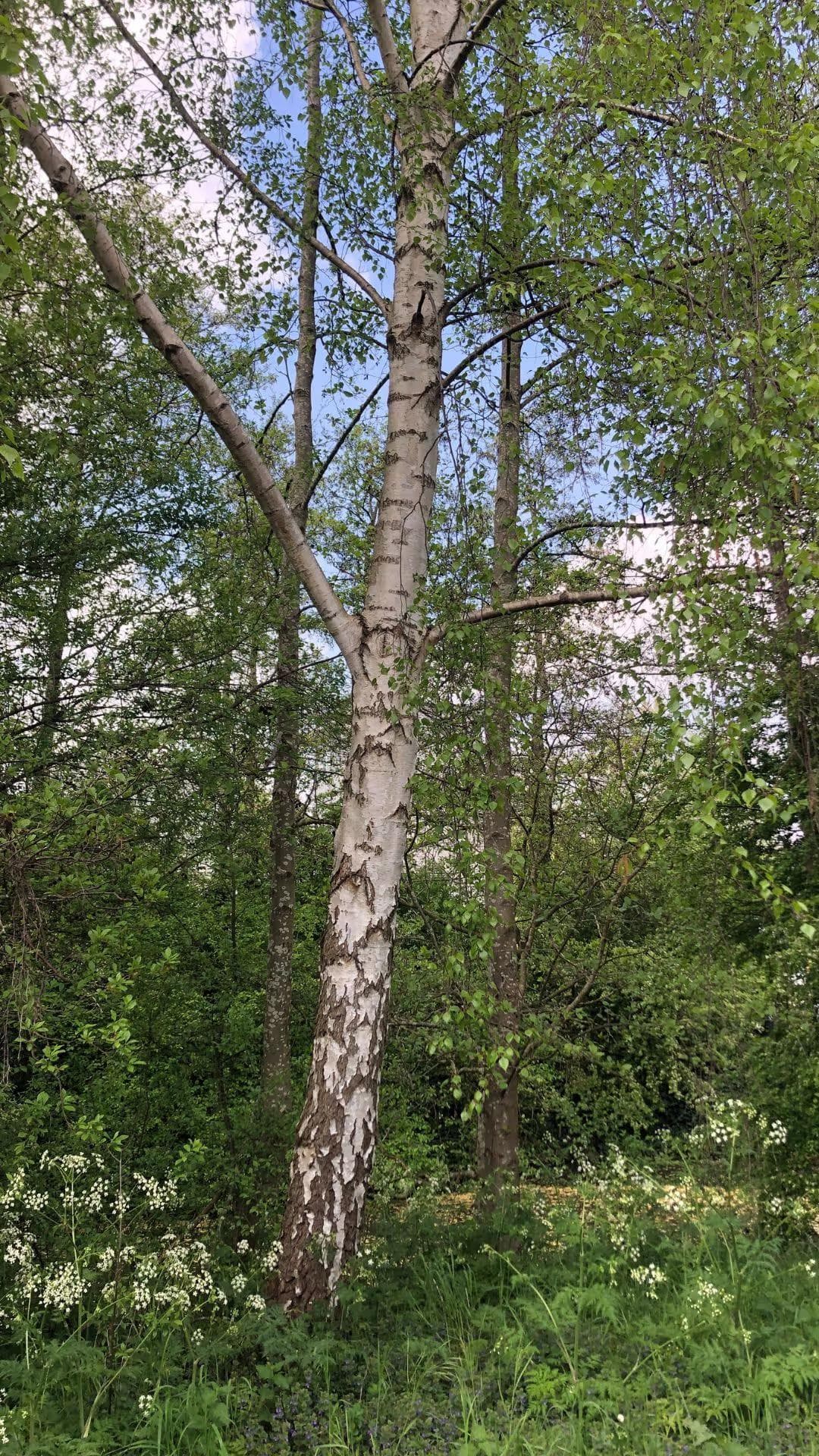 Een brief van Marjan de Berk