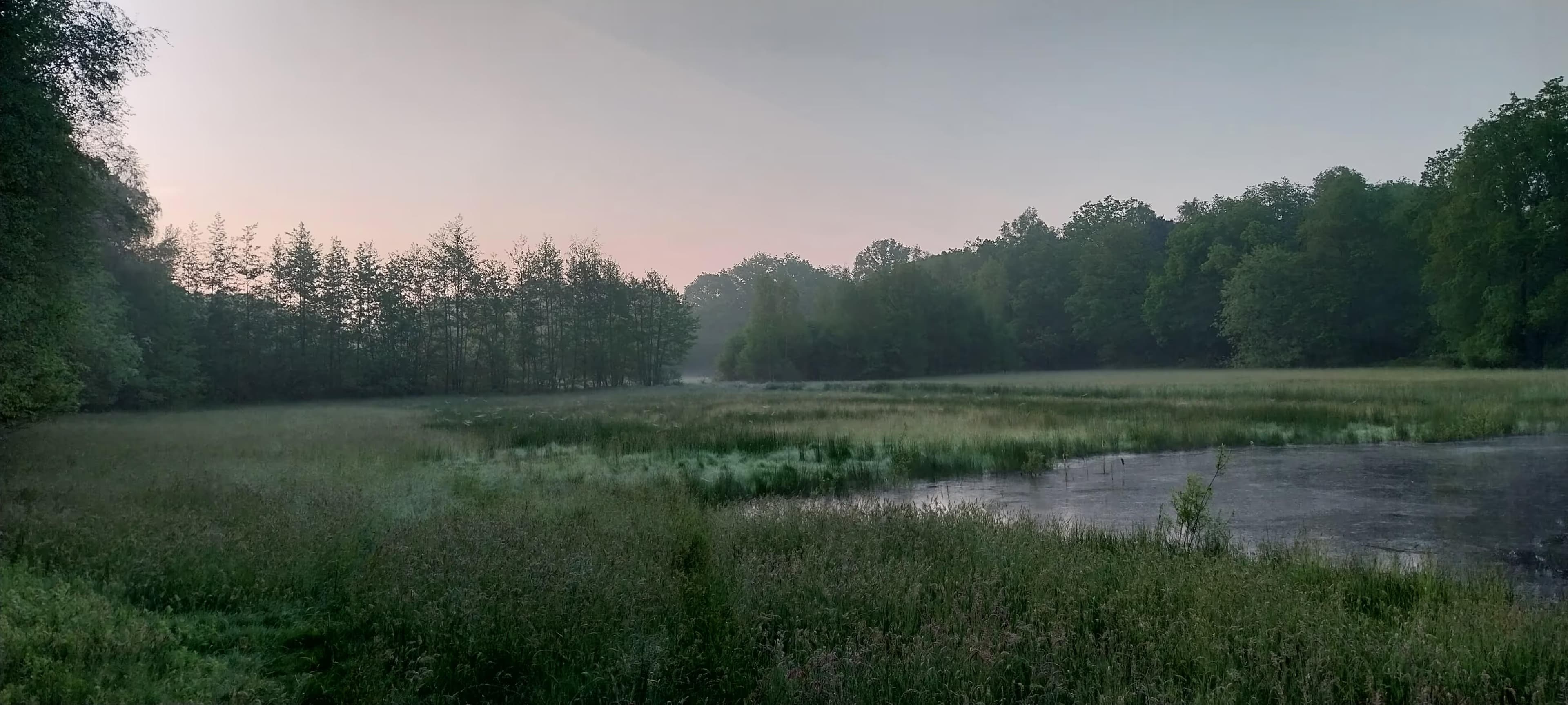 Een eed voor ecologen, logisch toch? (1/2)