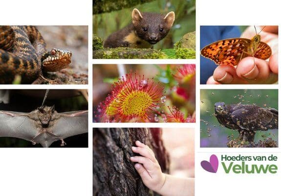 Indienmoment petitie Geef de Veluwe een stem.