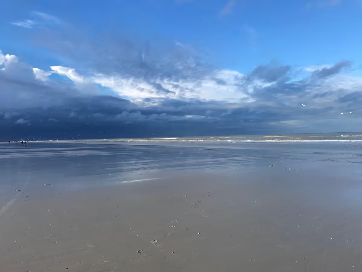 Rechten van de Natuur in Nederland