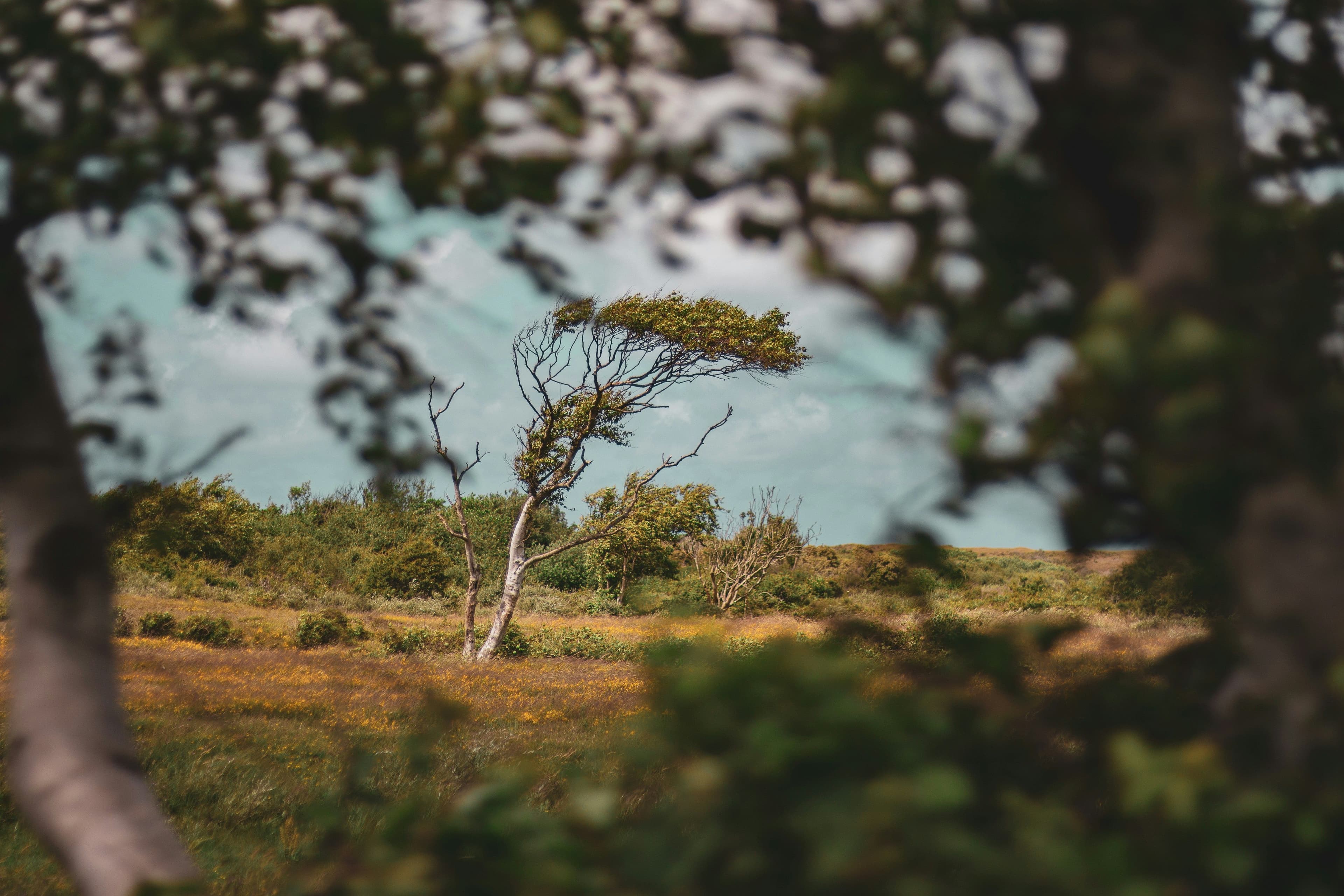 Rechten van de natuur op Texel