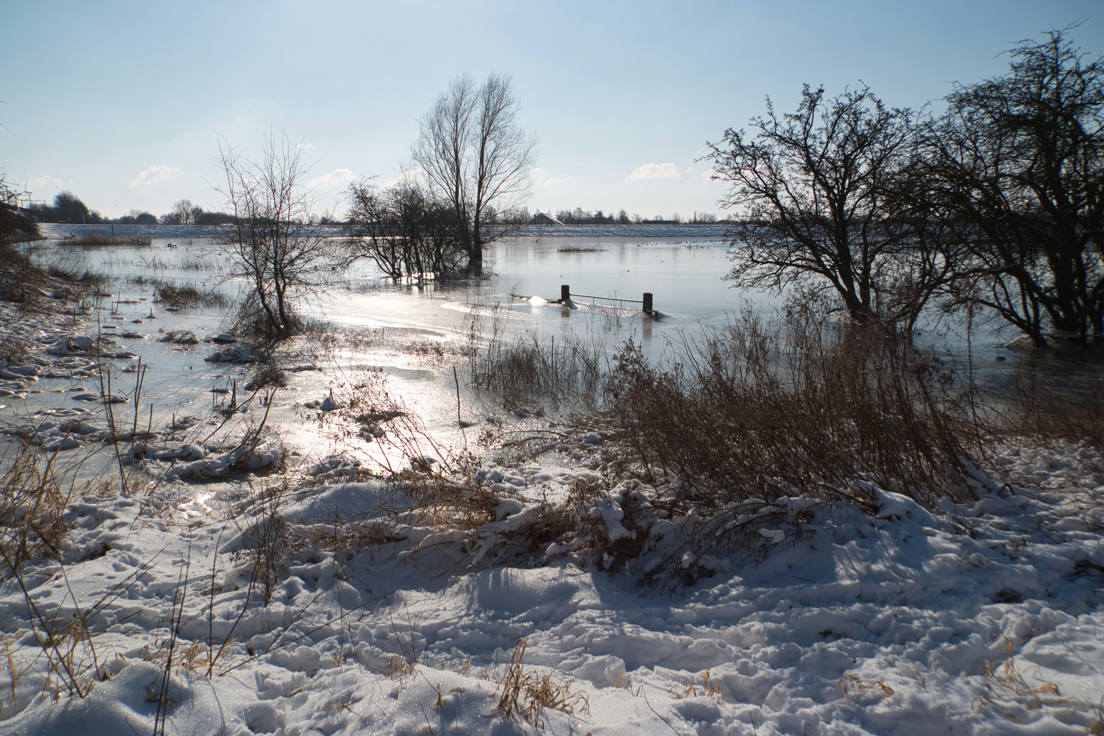 Rechten van de natuur in Culemborg