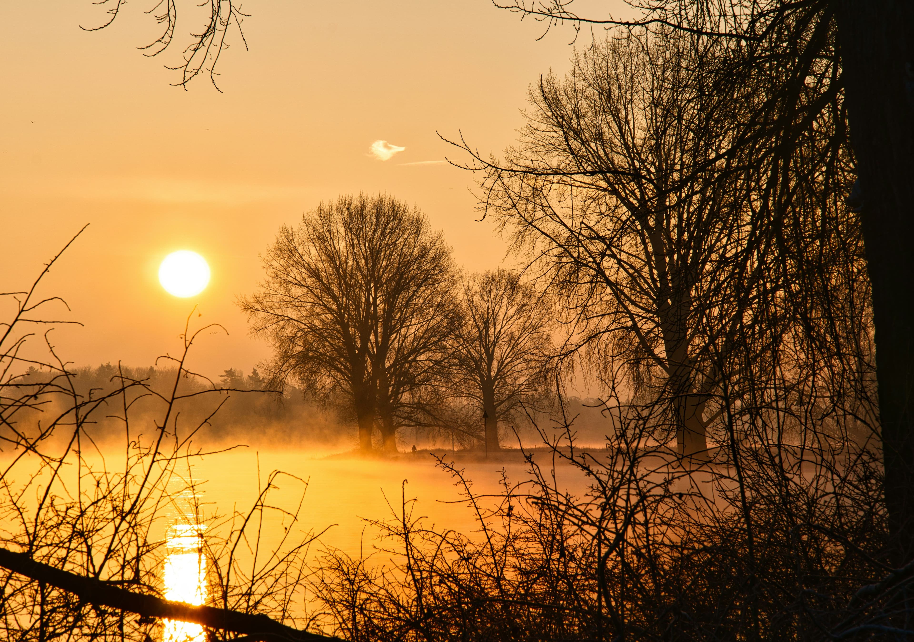 Rechten van de natuur in deventer