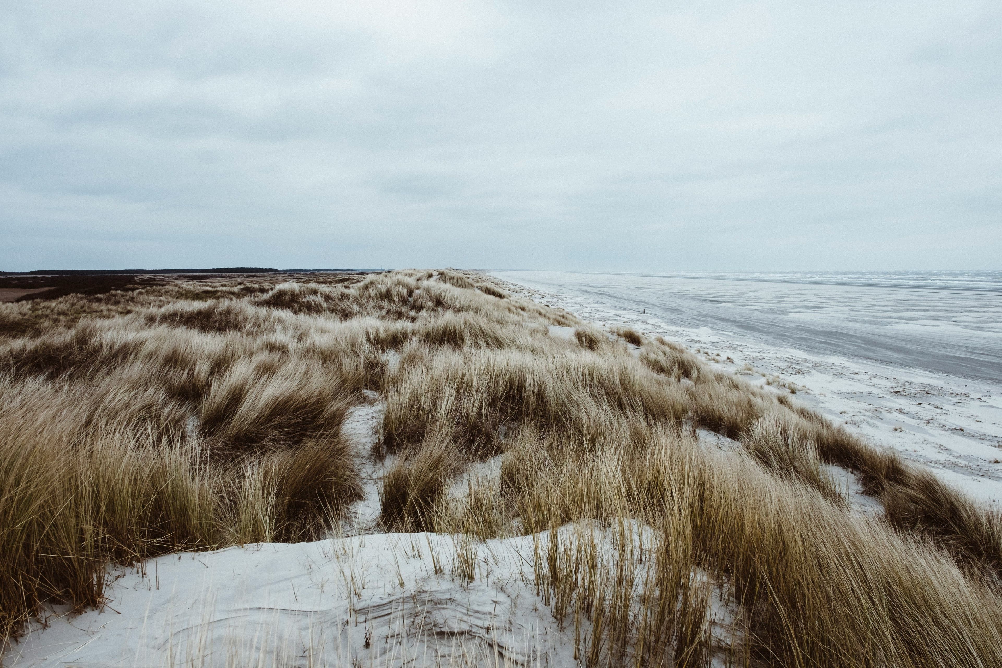 Waddenzee Rechten van de Natuur